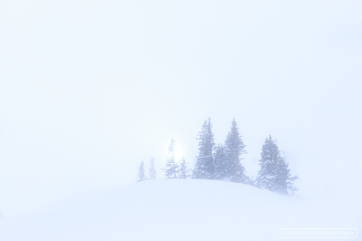 Falling snow turns the world near treeline into a magical place where nothing seems solid or clear.