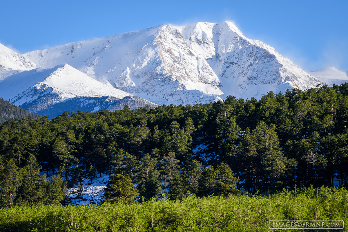 Ypsilon Mountain stands in a regal white coat high above the bright green aspen of the lower meadows.